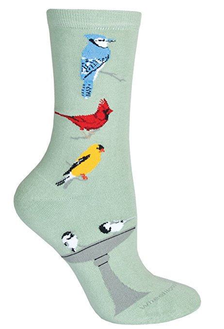 Songbirds Bird Dog Breed Novelty Socks Gray
