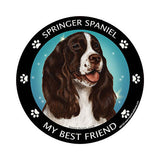 Springer Spaniel My Best Friend Dog Breed Magnet