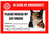 Tortoiseshell Calico Cat Emergency Window Cling