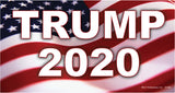 Pro and Anti Trump Political Election Magnet Assorted