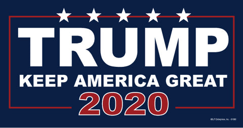 Pro and Anti Trump Political Election Magnet Assorted