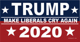 Pro and Anti Trump Political Election Magnet Assorted