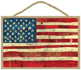 US American Flag United We Stand Painted Peace Stephanie Burgess Wood Sign