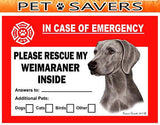Weimaraner Dog Emergency Window Cling