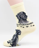 Weimaraner Socks Dog Breed Foozy Novelty Socks