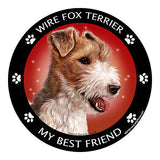 Wirehaired Fox Terrier My Best Friend Dog Breed Magnet