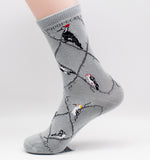 Woodpecker Assorted Bird Novelty Socks Gray Medium