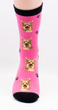 Yorkshire Terrier Yorkie Dog Breed Novelty Socks