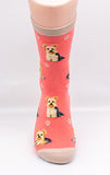 Yorkshire Terrier Dog Breed Novelty Socks