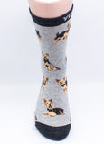 Yorkshire Terrier Dog Novelty Socks